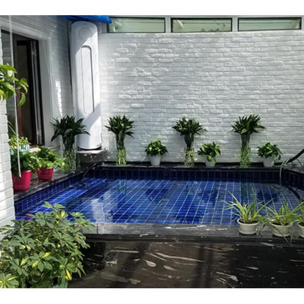 Кирпич выращиванный в питательной среде: облицовкой каменный 60x200mm искусства Faux SGS белой