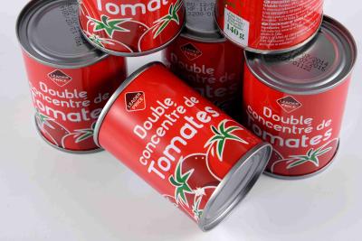 Nutrição rica enlatada clássico das vitaminas da pasta de tomate nenhumas cores artificiais