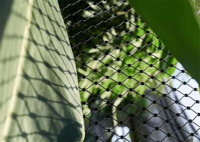 316L Ferrule Black Oxide Wire Rope Mesh Bird Wire Rope Netting 304L For Zoo