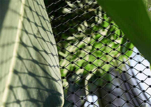 316L Ferrule Black Oxide Wire Rope Mesh Bird Wire Rope Netting 304L For Zoo