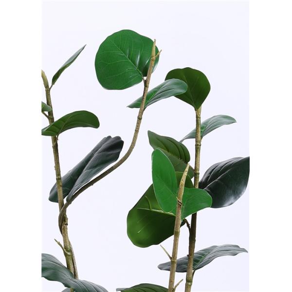 Public Area Artificial Garden Plants Polyscias Balfouriana Bailey 120cm 4 Ft