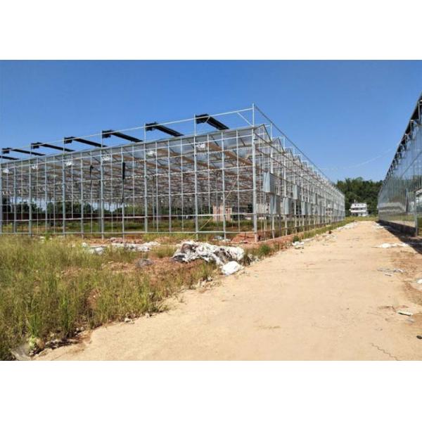 Venlo Glass Greenhouse , Multi Span Greenhouse For Hydroponics System