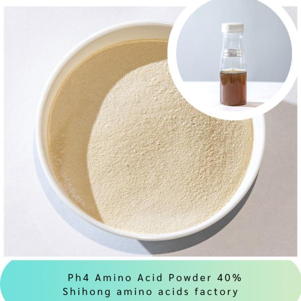 O ácido aminado Ph4 pulveriza 40% para o nivelamento das plantas de frutos dos vegetais das colheitas da variedade