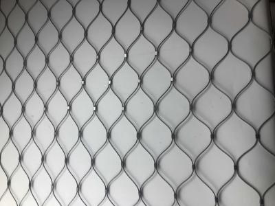 Espessura de aço inoxidável da malha 2mm 2.5mm 3mm do pássaro do aviário 7x7