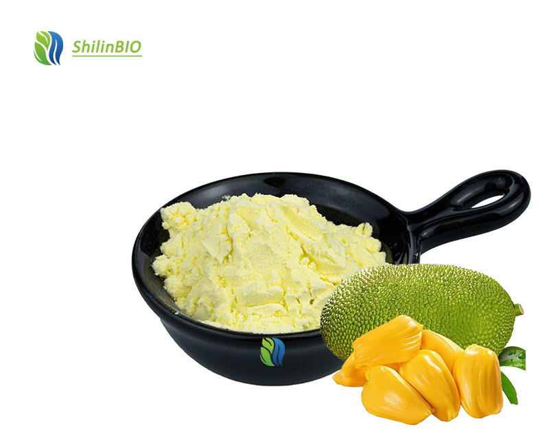 SLBIO Supply Wholesale Price Jackfruit Powder Jackfruit Juice/dried Powder Jackfruit Seed Powder