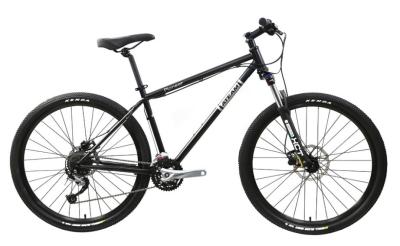 Aluminum Alloy MTB Mountain Bike Sepeda Mountain Bike 29er Hydraulic Disc 29 Inch