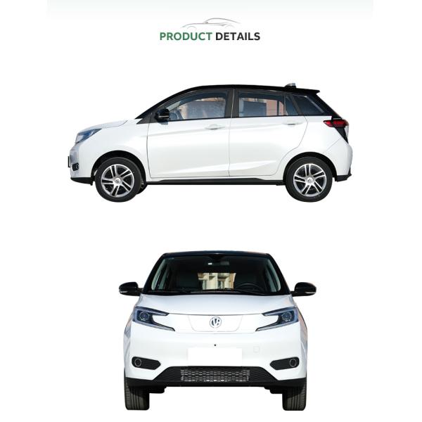 EVH Car Energy Vehicle EV HOUSE YOUNG LIGHT XIAOXIN Pure Electric Big Sale WHEELBASE 2415