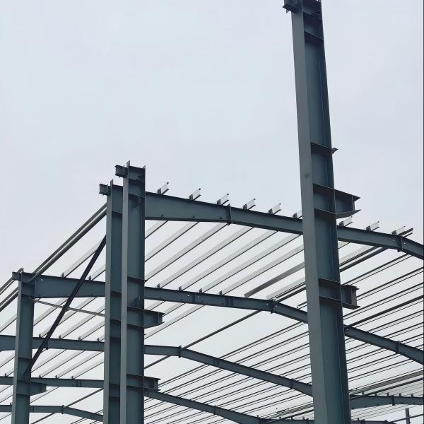 Prefab Steel Structure Warehouse Building Kits, Industrial Workshop & Petrol Station Canopy Roof, One Stop Solution Low Cost Steel Construction