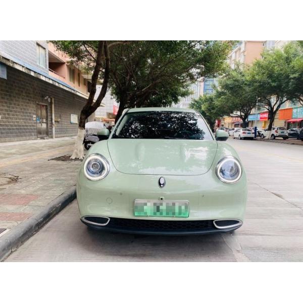 Кот 150km/h долгосрочного 4 привода электрический SUV ORA колеса хороший для взрослых