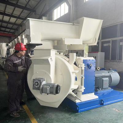 DRZL650 3T/H Moinho de pellets de madeira 2 anos de garantia Máquina para fabricar pellets de madeira