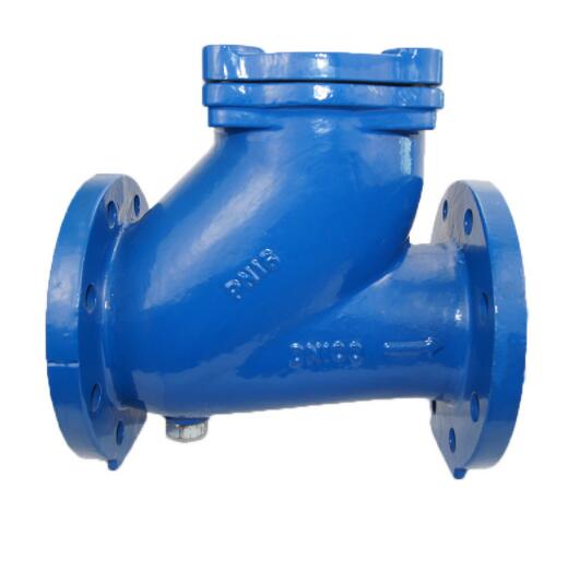 Pn16 200# Threaded 316 Stainless Steel Threaded 316 Ss Flanged End Check Valve