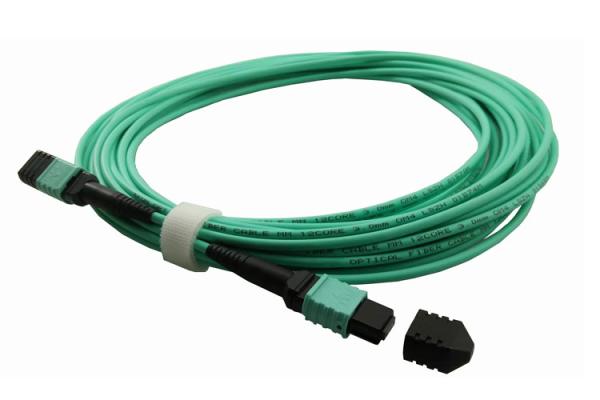 MPO 12F Female OM4 Aqua Color 3.0mm 15m LSZH MPO Patchcord cable