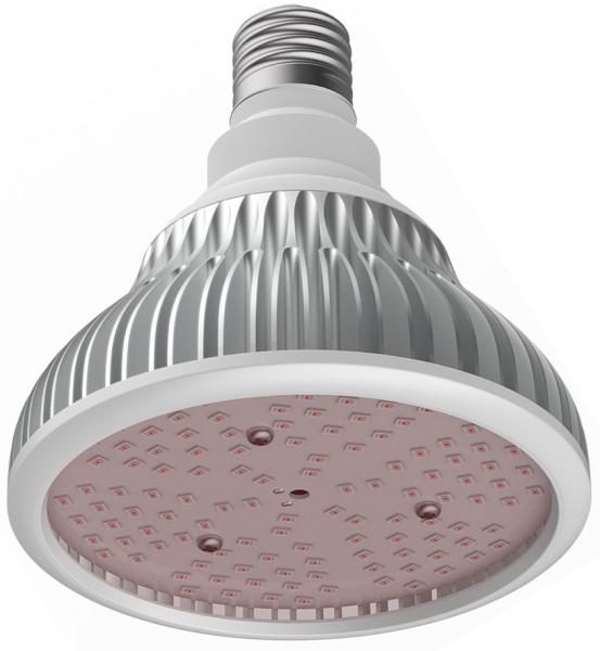 IP44 20W Horticulture LED Grow Light Bulb For Indoor Plants 2 Years Warranty