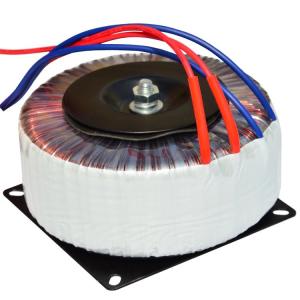 Custom Toroidal Transformer 30W 300W 1000W 2000W 3000W 5000W For Audio Amplifier