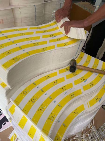 PE Laminated For Cup Paper Cup Raw Materials  Virgin Pulp Style