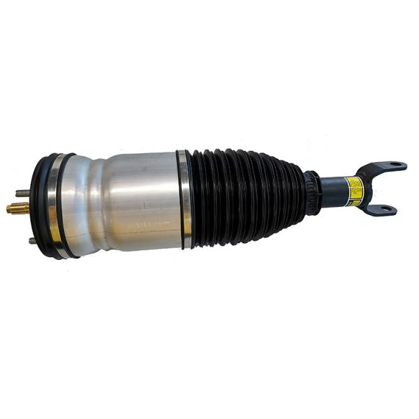 Dodge RAM 1500 2013-2018 Air Strut Air Suspension System