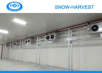 Absorção de água vegetal da sala de armazenamento frio do controlo automático grande