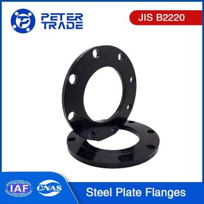 Carbon Steel JIS B2220 40K Pipe Plate Flange PLRF Raised Face A105 for Industrial Application