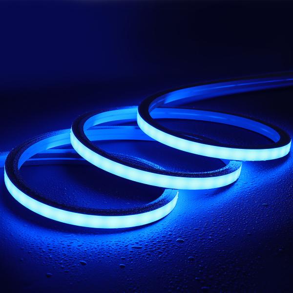Diodo emissor de luz flexível Flex Light flexible Outdoor Waterproof de néon IP67 do RGB