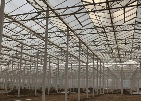 Sided Ventilated Cooling Pad Multi Span Pc Sheet Greenhouse