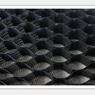 Moderno estilo de design HDPE Geocell folha de favo de mel para proteção de inclinação no hotel