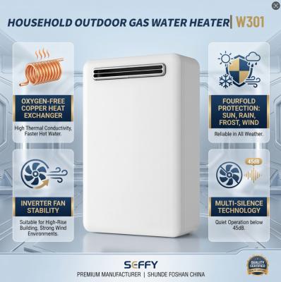 20L/24L High Capacity Outdoor LPG Water Heater Tankless Energy Saving For Home Shower