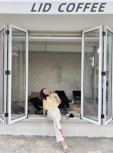 Low-Cost Folding Windows | Budget-Friendly Aluminum Solutions