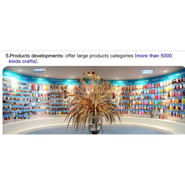 Guangdong Hongfa Import & Export Co., Ltd.