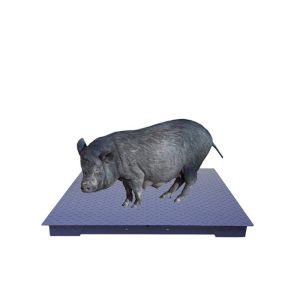 Сверхмощный пол масштабирует высокую точность портативные масштабы пола пудрят покрытый