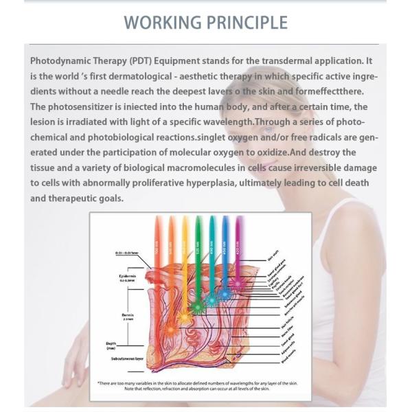 TUV CE Approved 5 Colors Infrared LED PDT Photon Light Skin Rejuvenation Acne Removal Beauty Machine