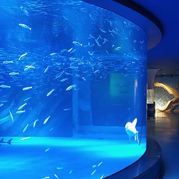 Высокопроницаемость 95% ПММА аквариумный акриловый лист 2000*3000 мм