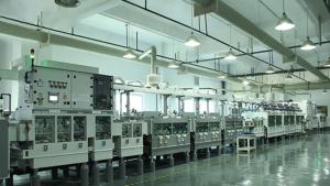 Terrene Trading Limited