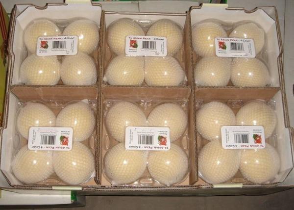 Peras frescas Honey Like Flavor doce de Ya do chinês 200-300g