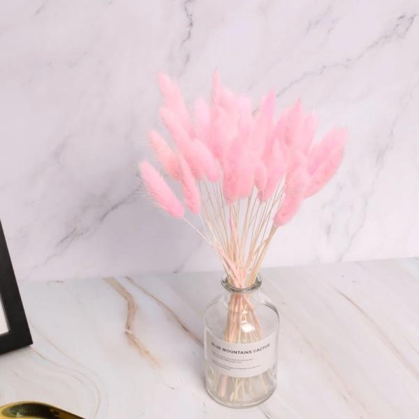 Wholesale cheap preserved dried flower 150 pcs /bunch dried rabbit tail grass lagurus ovatus