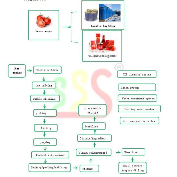 Небольшая технологическая линия 1t/H томатной пасты емкости или по мере необходимости