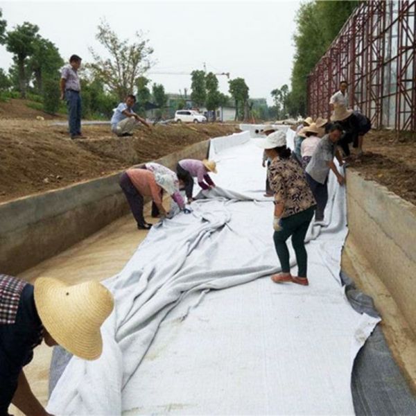 Sodium Bentonite GCL Liner for Artificial Lake Waterproofing and Water Containment Systems