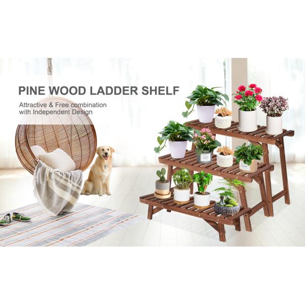 Wood Plant Stand Ladder Plant Shelf, Flower Pot Display Rack Freestanding Planter Holder for Organizer Multiple