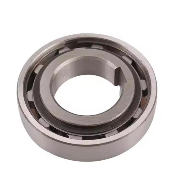 AS45 TSS45 NSS45 Freewheel Clutch One Way Roller Ball Bearing For Reducers