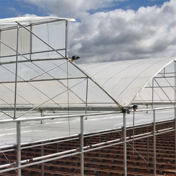 Sawtooth Type Tropic Friendly Polyethylene Film Greenhouse Multi Span Greenhouse