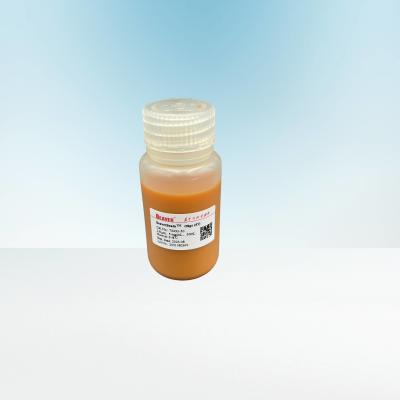 50 mL 1 μm Magnetic Beads Coupled with Oligo dT