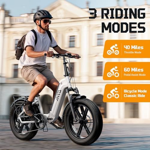 Hot Selling TST 250W Powerful Steel Frame Electric Hybrid Folding Bike for Teens Electric Bike Adults Bicicleta Foldable Ebike