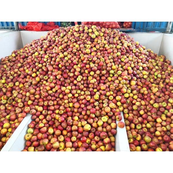 Fruit Juice / Apple Juice Processing Line 100 - 10000L/H Capacity