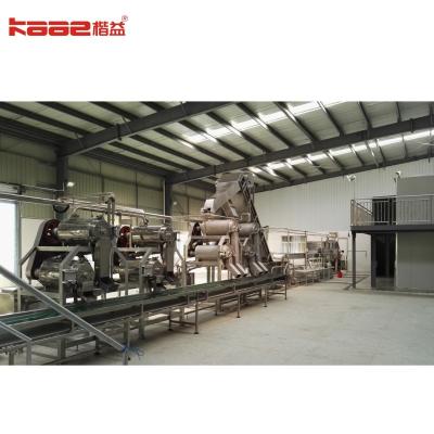 120T/H Mango Pulp Mango Processing Line Fruit Puree Production Line