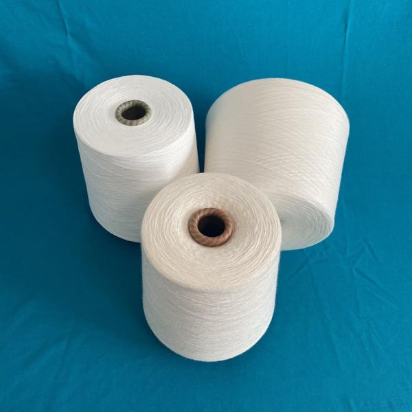 Count And Original 30F 30S/2 Rayon Knitting Spun Ring 100% Viscose Rayon High 120D/2