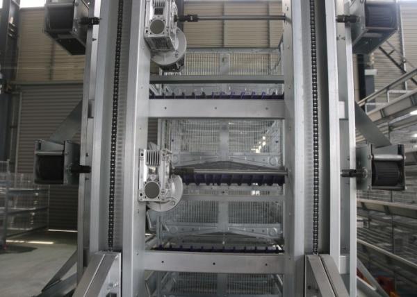 Commercial A Type Chicken Cage  Sturdy Enriched Cages For Laying Hens