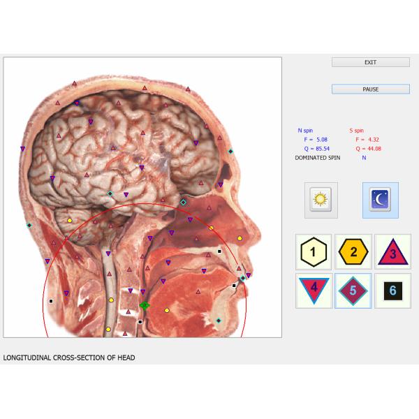 Clinical Examination Aids Full Body Health Analyzer 8d Nls Health Analyzer