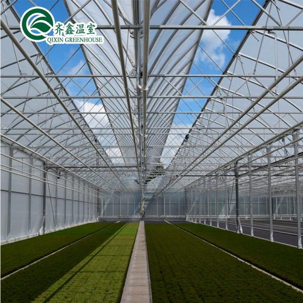 Glass Greenhouse Ventilation System with Tempered Glass or PC Sheet Top Covering