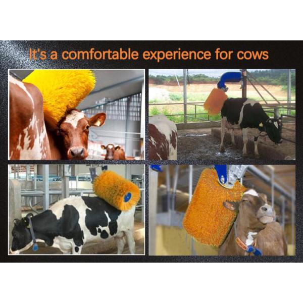 Poultry Breeding Equipment Cow Massage Brush Rotating Cow Shaving Brush
