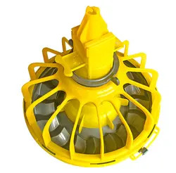 Кормушки для птицы Поднятые поилки для цыплят Оборудование, необходимое для выращивания цыплят