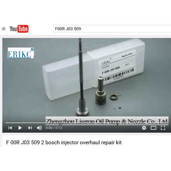 diesel injector repair kits  F OOR J03 509 (FOORJ03509) diesel injektor repair kit FOOR J03 509